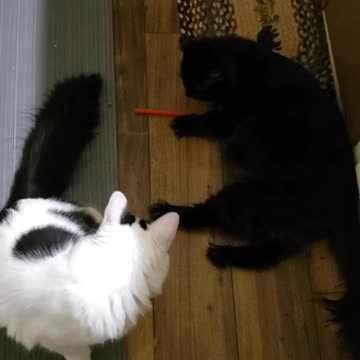 This straw is Mine!