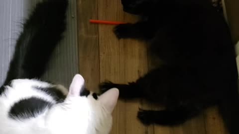 This straw is Mine!