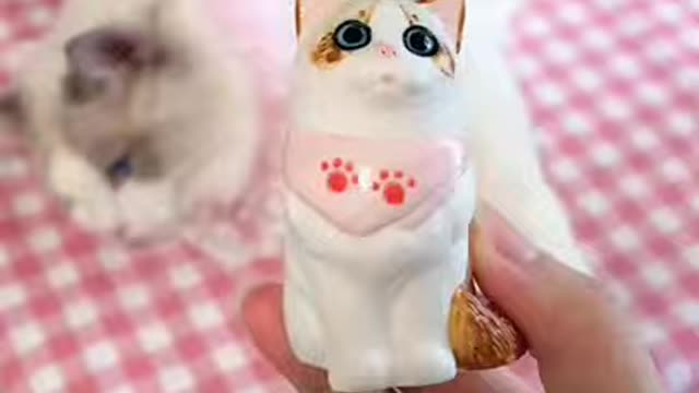 Cat video-funny video best off The 2022 kitten's #beautiful Compilation