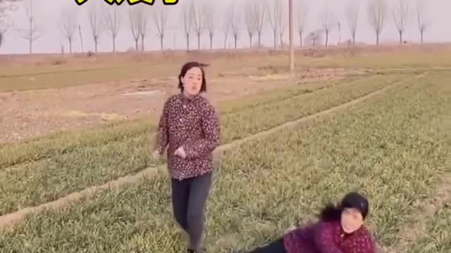 funny video compilation