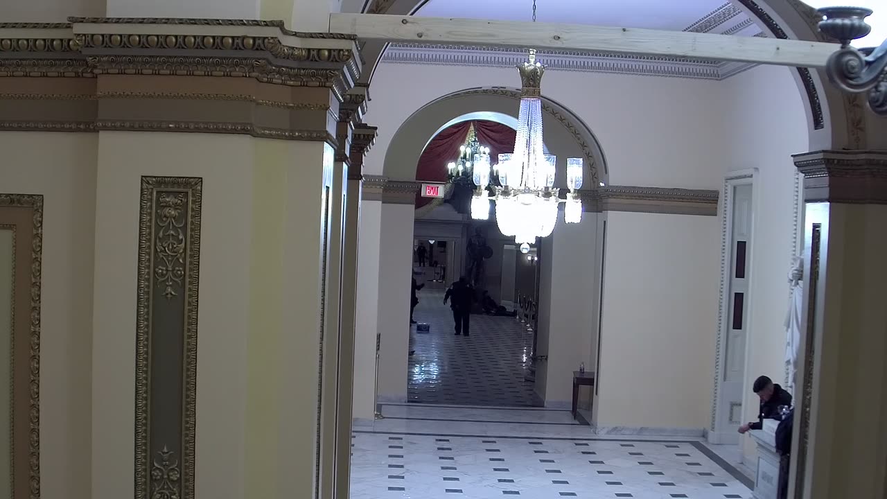 0259USCH02StatuaryHallConnector_2021-01-06_17h54min24s993ms.mp4