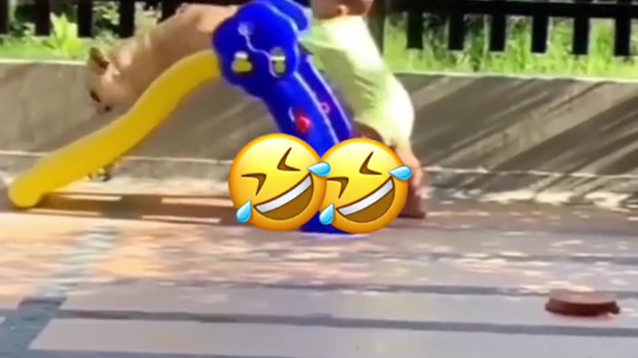 Funny animal conversation videos