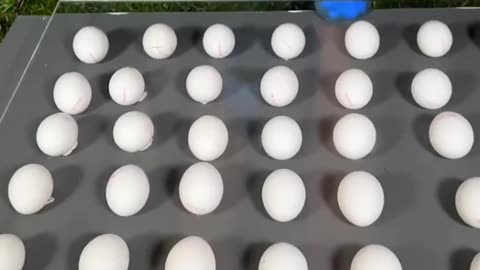 ASMR Test of Eggs. || Relaxing and Satisfying Video. 😲😍😊😆.