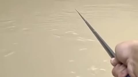 Awesome Rural Fishing Video Short