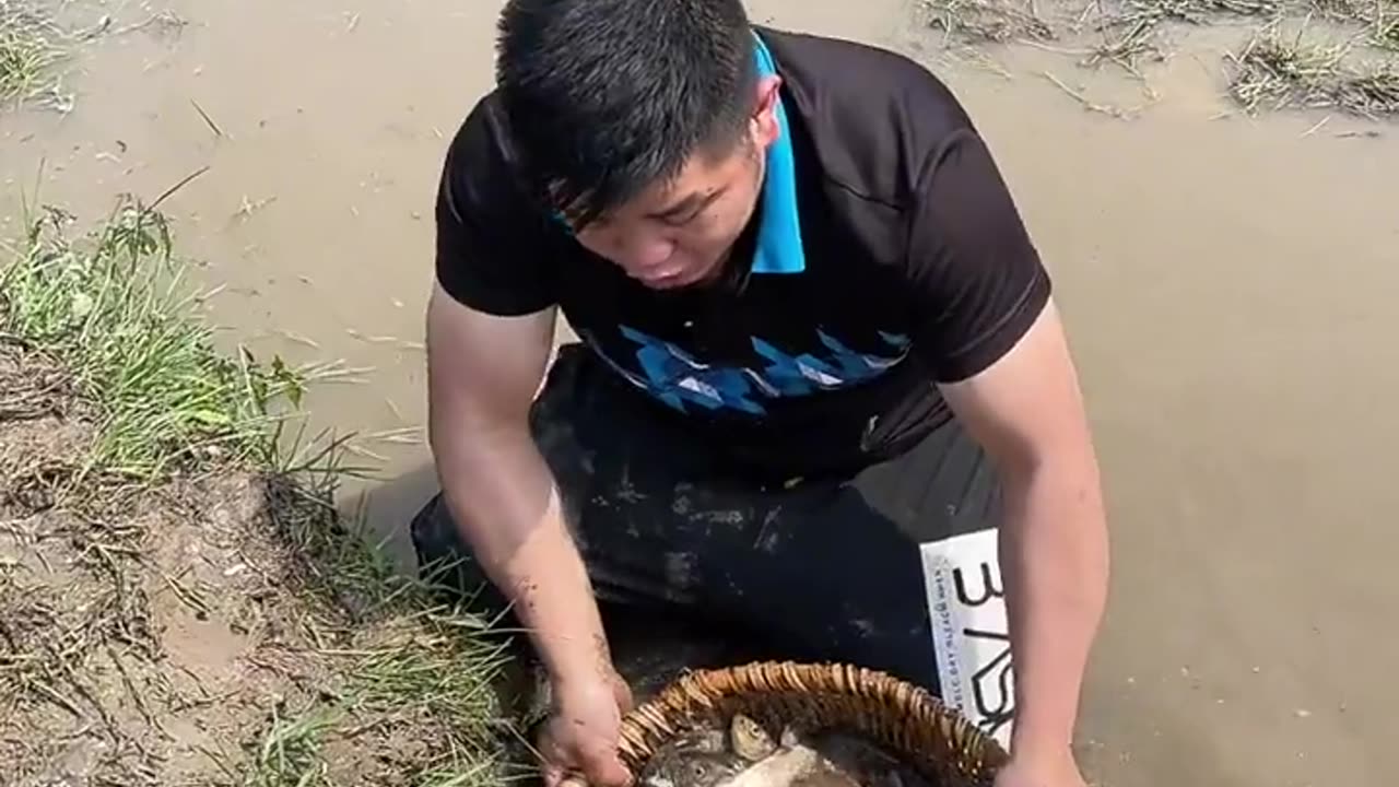 Man Catching Fish Amazing video