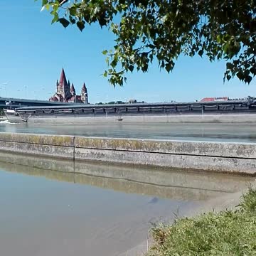 Sunny a lovely dog from Vienna lovely view Donau Wien Danube Vienne jack russel mix