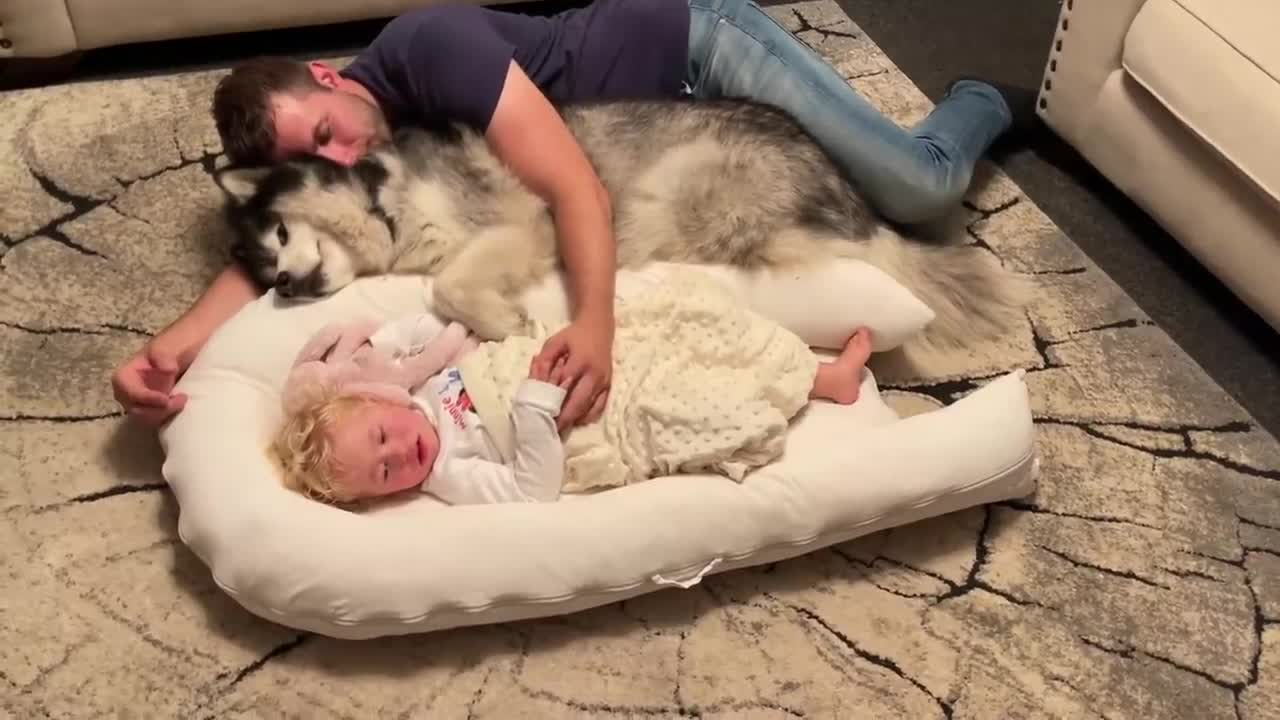 Giant Dogs Protect Sleeping Baby! (Cutest Ever!!)