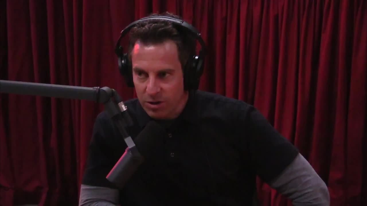 Sam Harris on Super-Intelligence & Alignment