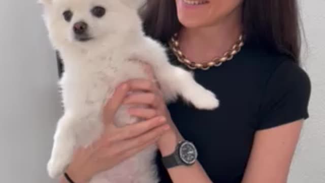 cute fluffy dog with girl