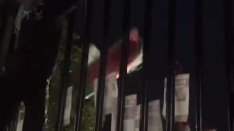 Pro-Palestinian protesters are now climbing up the on the White house fence