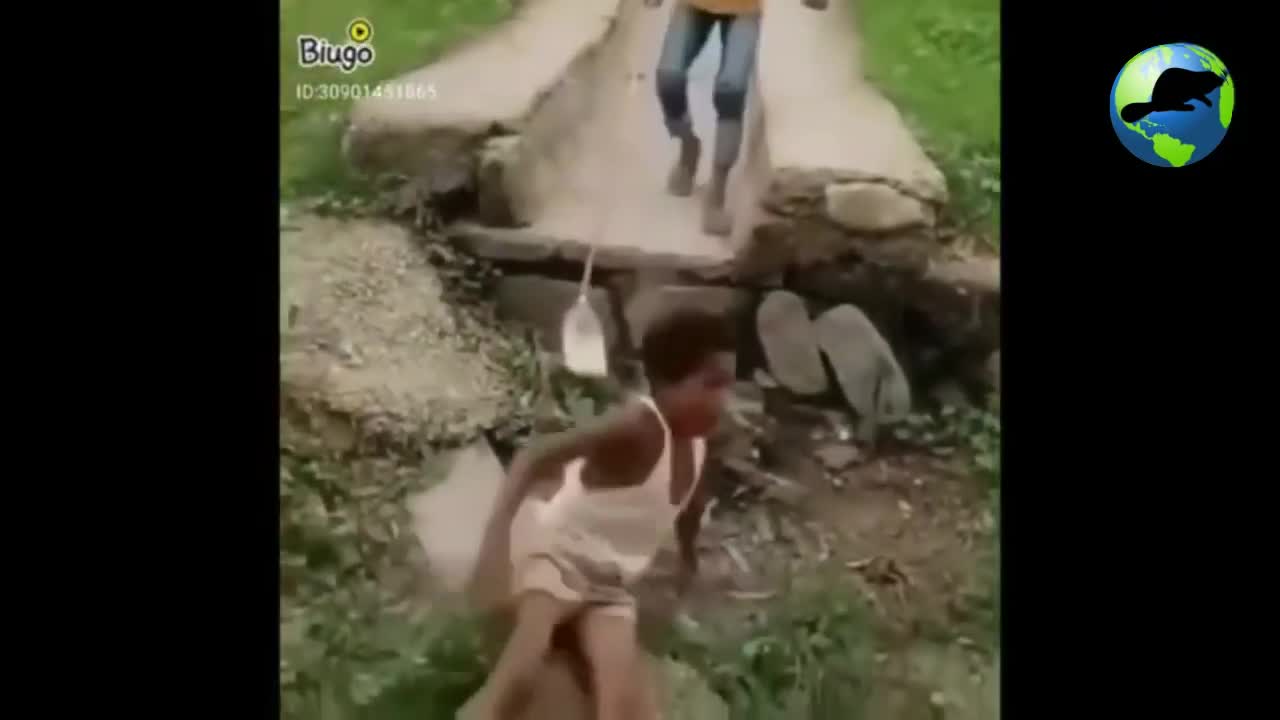 The Funniest Whatsapp Videos - Try Not To Laugh # 1