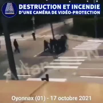 5G Chytrá Síť a Flexa