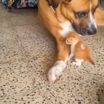 GOD'S ENCOURAGEMENT IN TOUGH TIMES - DAILY DEVOTIONAL ❤️