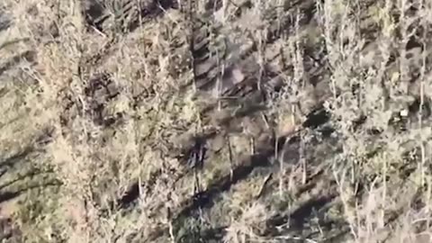 Airborne troops wipe out several AFU groups north of Artyomovsk