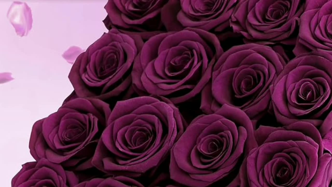 Forever Flowers for Delivery Prime, Real Fresh Purple Rose & Heart Shaped Balloon for Valentines Day