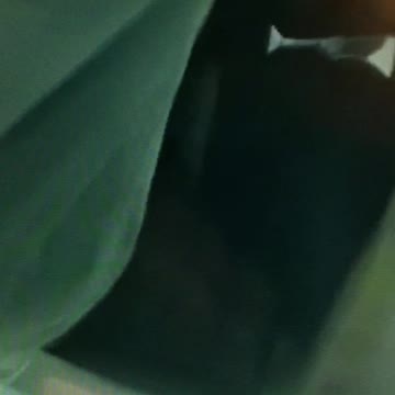 WORD Manipulation by the media!