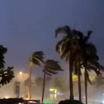 Hurricane Milton in Florida uprooted trees It's really impressive⚡⚡