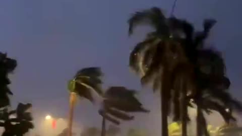 Hurricane Milton in Florida uprooted trees It's really impressive⚡⚡