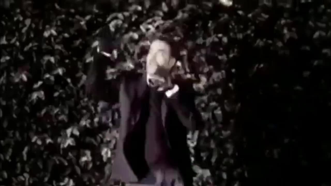 Chapuxeufelsodreico - Schlahchtkfjfofbfronx
