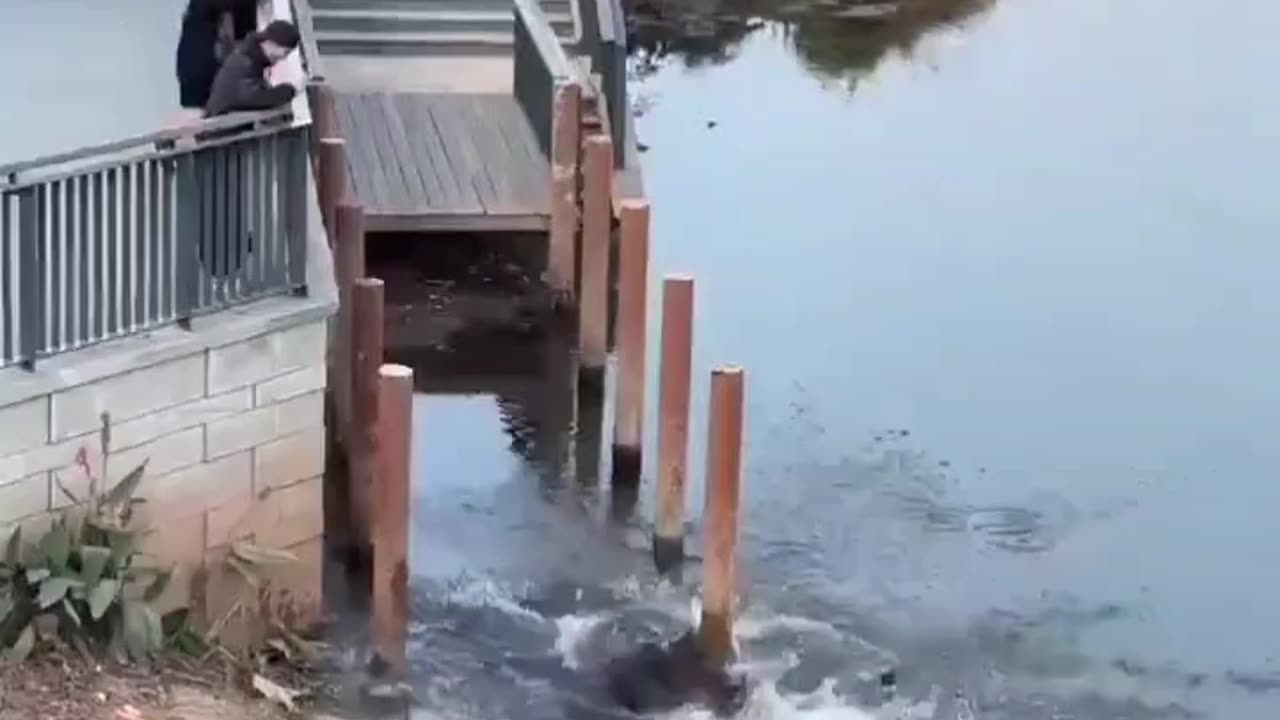 Nice stunt 😜😜