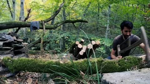 7 Days Solo Survival Camping In Rain Forest.
