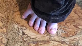 Funny toes