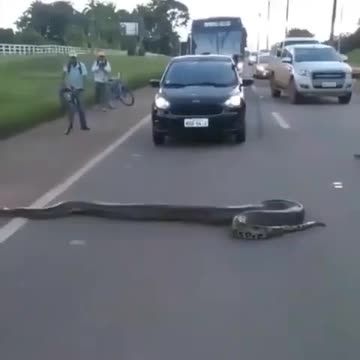 SOUTH AMERICAN TRAFFIC