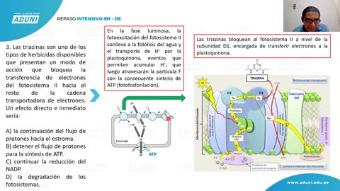 REPASO INTENSIVO ADUNI 2021 | Semana 02 | Biología | Lenguaje | Psicología S1