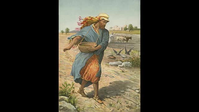 Fr Hewko, XXIV Sunday After Pentecost '21 "Let The Weeds & Wheat Grow Together" [Audio] (MA)