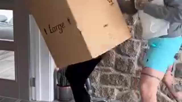 FUNNY FAMILY ADVENTURES Smackdown!