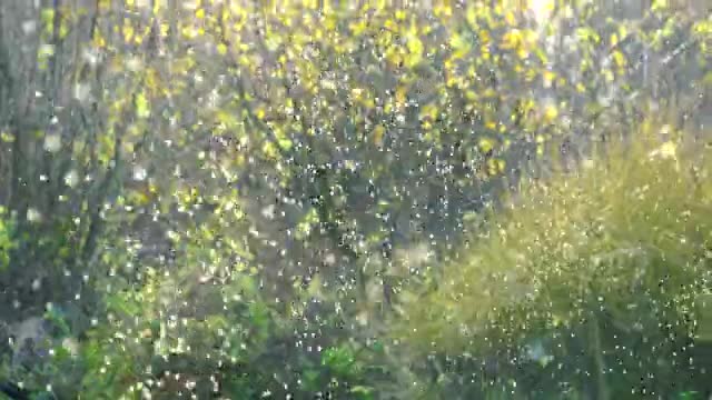 Nature video must watch