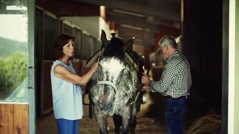 A joyful senior couple petting a horse in a stable