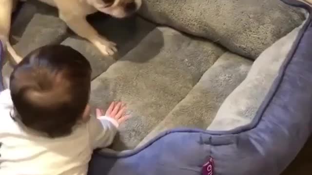 Baby playing with puppy