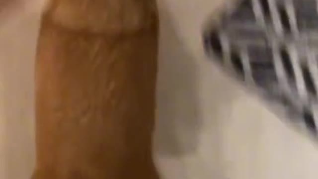 Best Funny Dogs Video -EP (24)