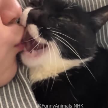 Funniest pets😁😁