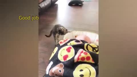43 second Funny video