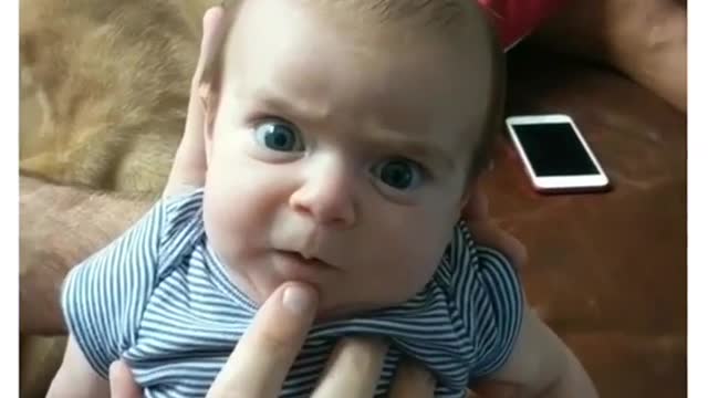 Short funny videos,cant stop laughing