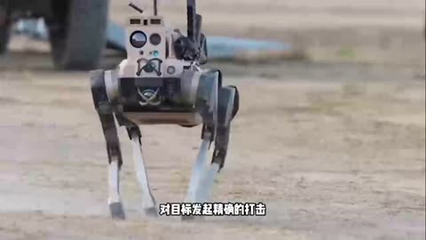 Deployment of Chinese armed robotic dogs