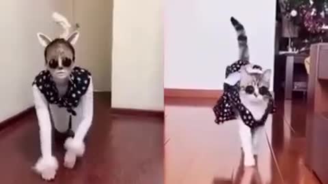 Dance copy to Animal funny video.