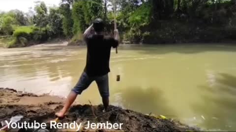 This is a beautiful and charming water-dwelling species