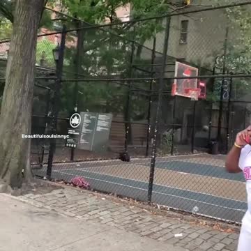 ΑΥΤΑ ΜΟΝΟ ΣΤΗ ΝΕΑ ΥΟΡΚΗ.