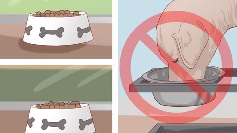 Prevent Blooding at Dogs