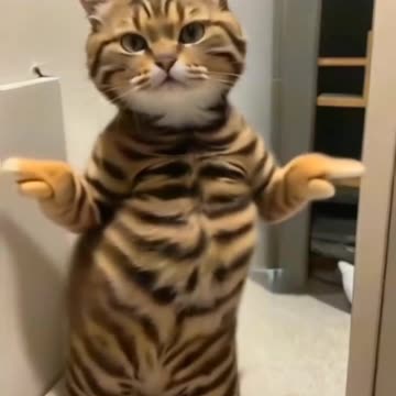 Cut fun video😆😅😂🤣😜