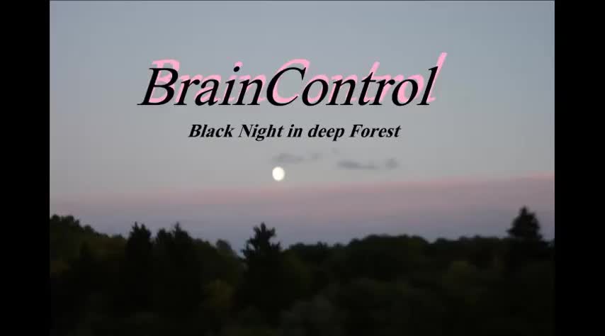 Black Night in Deep Forest