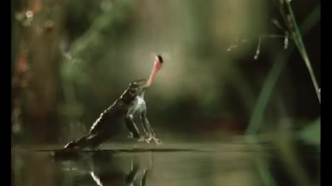 funny motivation