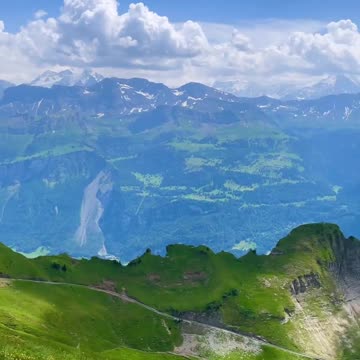 Spring vibes Switzerland 🇨🇭 - Joy Funny Factory