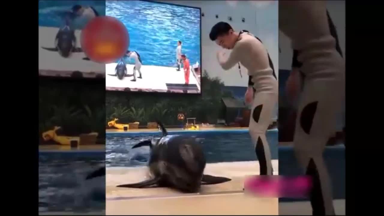 The world is so scary the fish is like this
