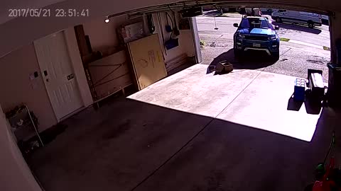 Bear Charges Man in Garage