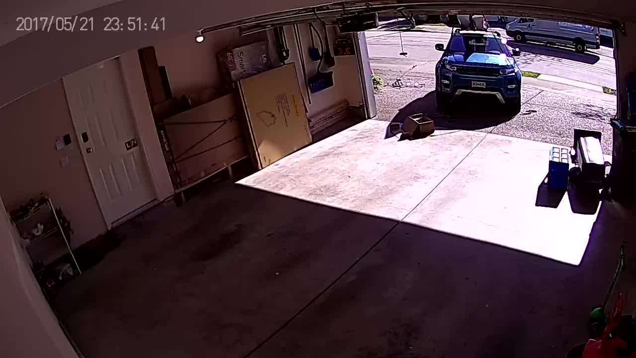 Bear Charges Man in Garage