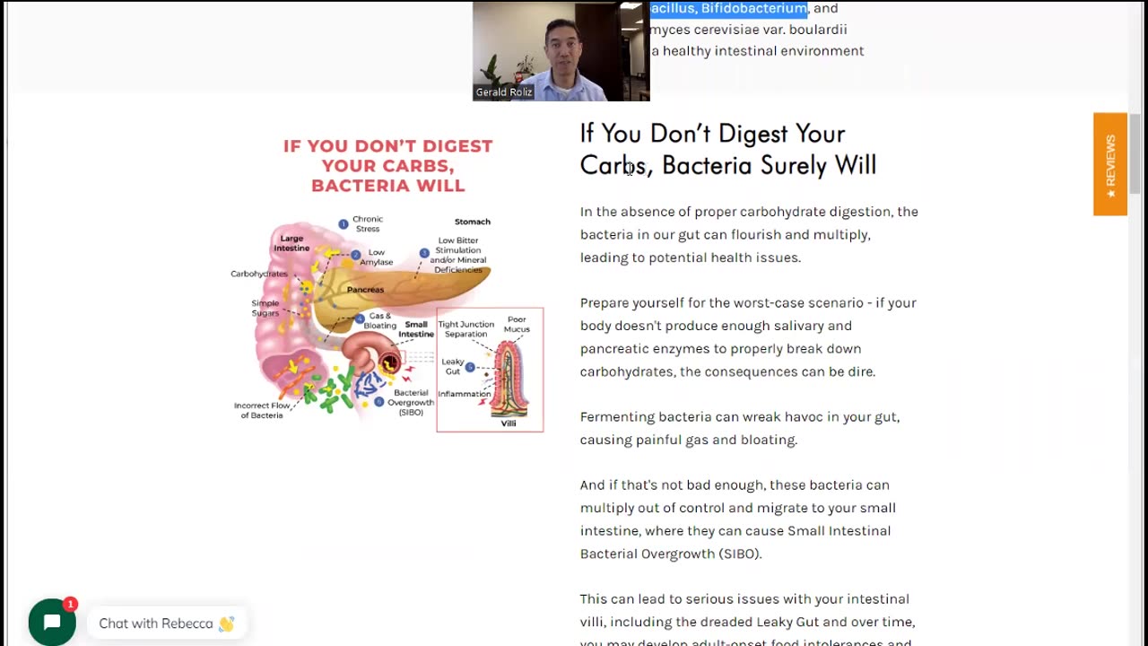 Digestion of Carbohydrates Explained!